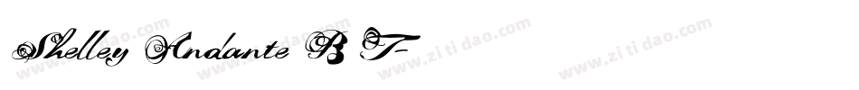Shelley Andante BT字体转换